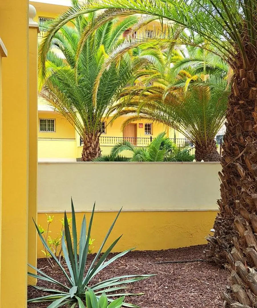 Casa Leona Apartamento Palm-mar